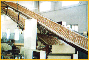 coolingconveyor.jpg